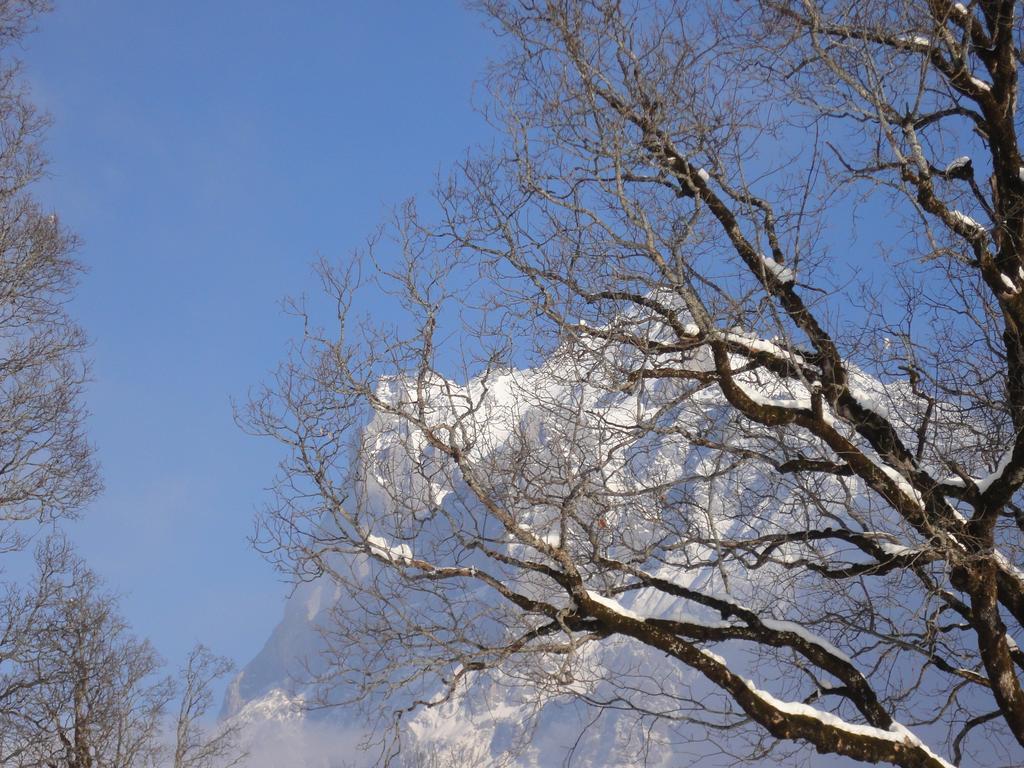 Lehmann'S Herberge Hostel Grindelwald Szoba fotó