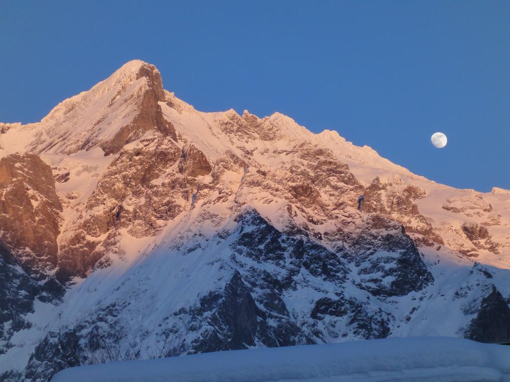 Lehmann'S Herberge Hostel Grindelwald Kültér fotó