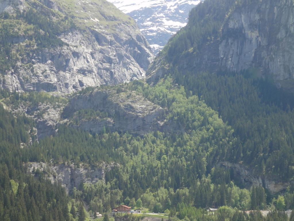 Lehmann'S Herberge Hostel Grindelwald Kültér fotó